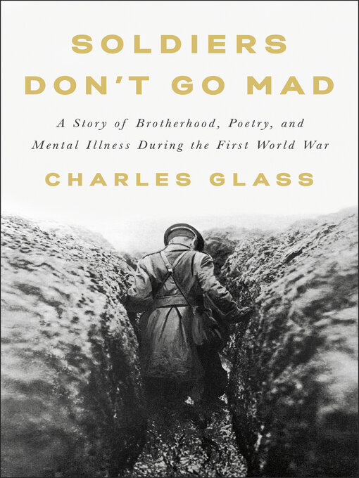 Cover image for Soldiers Don't Go Mad